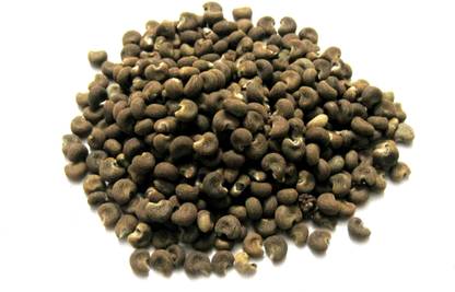 Faabiie Mushk dana, Musk Dana, Muskdana, Ambrette, Abelmoschus Moschatus Plant Seed