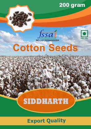 Pbevergreen Cotton Seeds Seed