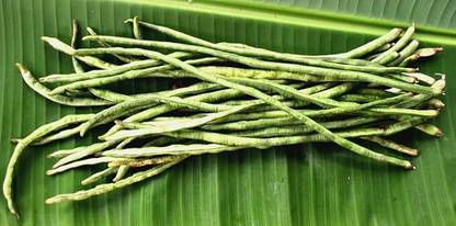 GREENSEA Yard Long Bean, Barbati, Long Bean Seed