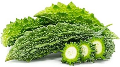Aywal Long Bitter Gourd Karela Vegetable Seed