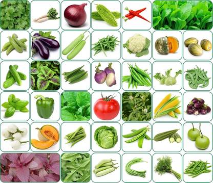SUAA Combo 40 variety Vegetable mix seeds, fruits seeds, Herb Seed