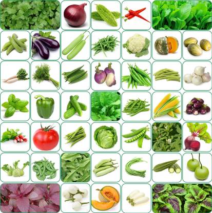 Aero Seeds 45 variety vegetable seeds combo pack with instruction manual. Seed