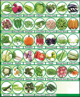 Morbih 40 Varieties of Vegetable Seeds Combo Pack Seed
