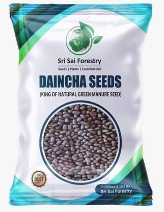 SRI SAI FORESTRY Daincha Grass Seeds, Green Manure Plant Seed