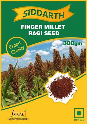 Bula Plant House RAGI FINGER MILLET SEEDS (300 GM) Seed