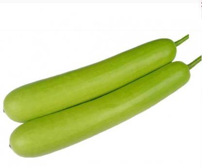 Avysa Long Bottle Gourd Seeds Seed
