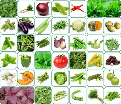 Aero Seeds 40 variety vegetable seeds combo pack with instruction manual. Seed