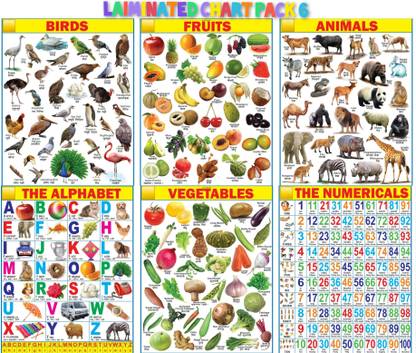 English Chart for Kids 45x65cm Mega Size ( 6 Charts ) - Laminated Early Learning Education Wall Picture Chart | English Alphabet, Numbers Charts Wall Chart Fine Art Print