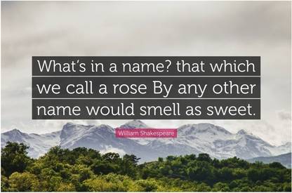 What's In A Name? William Shakespeare Quote Poster Paper Print