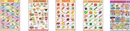 Kids' 5 Sticker Charts for Homework| Multi Subject Charts| Paper Print