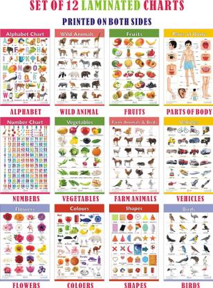 Early Learning Educational Charts Set for Kids | Set of 6 Charts ( Printed on Both Sides ) | 31 x 45 cm | Non-Tearable and Waterproof | Perfect for Homeschooling, Kindergarten and Nursery Students | Alphabet, Numbers, Birds, Animals, Fruits, Vegetables, Shapes, Colours, Parts of Body, Vehicles, Domestic Animals & Flowers Chart Photographic Paper