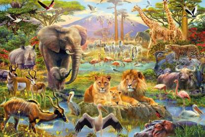 Wild Animals Poster - Forest Animals Poster - Jungle Animals Poster - Animals Poster Paper Print