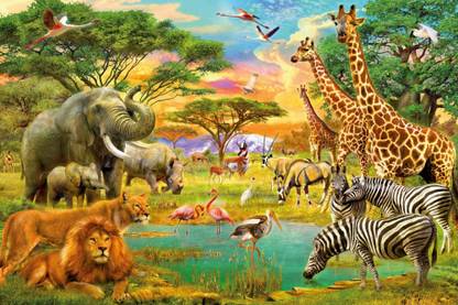 Wild Animals Poster - Forest Animals Poster - Jungle Animals Poster - Animals Poster Paper Print