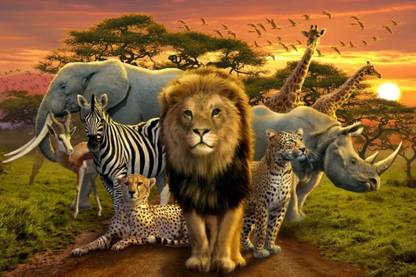 Wild Animals Poster - Forest Animals Poster - Jungle Animals Poster - Animals Poster Paper Print
