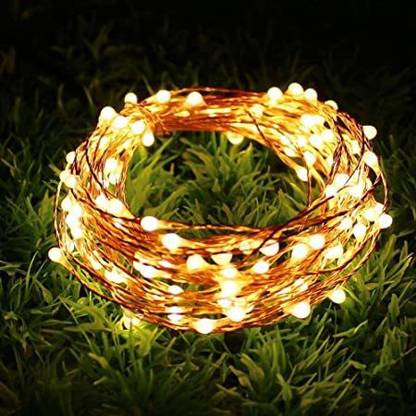 12 m White Rice Lights
