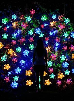 DECRETIVE 2 m Multicolor Rice Lights