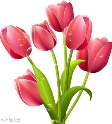 Advait Designs Self Adhesive 50 cm Wall Sticker