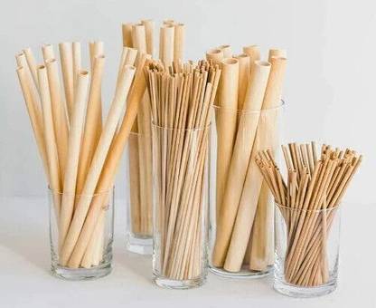 TUGS Straight Drinking Straw