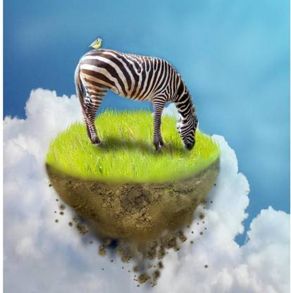 Pitaara Box 72.644 cm Grassing Zebra Unframed Glossy PVC Vinyl Wall Sticker Decal Self Adhesive Sticker
