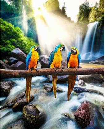 Pitaara Box Blue-And-Yellow Macaw Unframed Wall Art Painting Print Canvas 19.8 inch x 16 inch Painting