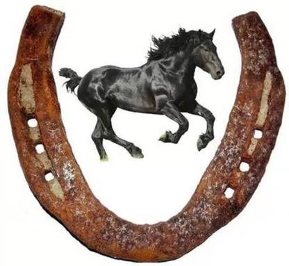 HARIDWARR Horse Shoe Ring