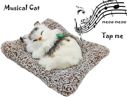 dishvy Sleeping cat with meaw sound | Musical cat Idol B