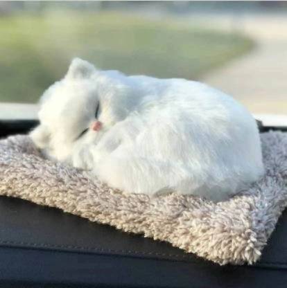 ASRYD Dashboard Sleeping Cat Interior Décor Soft Toy Showpiece For Car Home- 20 cm Decorative Showpiece - 26 cm