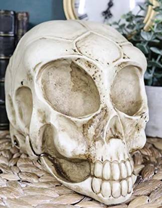 Ebros Gift Ebros Roswell Ufo Alien Honeycomb Elongated Skull Statue 8" Long Extra Decorative Showpiece  -  18.2 cm