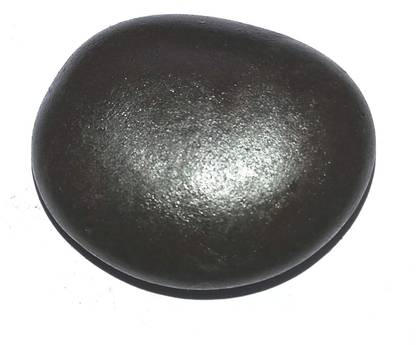 HARI OM RATAN KENDRA Shaligram Shila Nepal Gandaki River Saligram Stone | (150-200 gm) Decorative Showpiece  -  4 cm