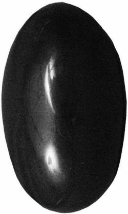 Berua Natural Shaligram Pure Saligram from Gandaki River Nepal Decorative Showpiece  -  6 cm