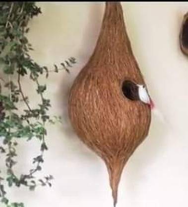 KAMALA KS002 Bird House