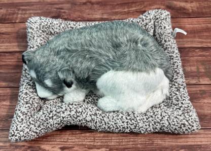 JUST MOD Grey White Colour Sleeping Dog Toy For Car & Table Decorative Showpiece  -  26 cm