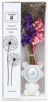 Love And Joy Aroma Air Diffuser for Home Decor Reed Sticks and 10 ml Fragrance Oil Decorative Showpiece  -  17 cm