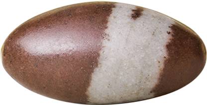 Shubhanjali Narmadeshwar Shivling Stone,Banalinga Shiva Lingam For Pooja - 2 Inch Decorative Showpiece  -  2 cm