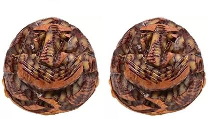 MDC Beautifully Handcrafted Supari Ganesh | Betel Nut Lord Ganesha | Ganesh Ji Idol Decorative Showpiece  -  2 cm