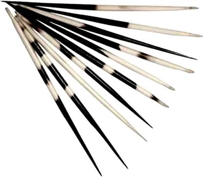 Astro ASTRO-D Sahi Ka Kanta ORIGINAL ( Porcupine Hook ) Red Book Remedy Decorative Showpiece  -  1 cm
