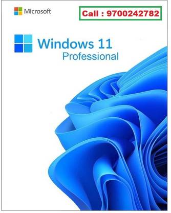 MICR Windows 11 Pro Retail License Smart Key