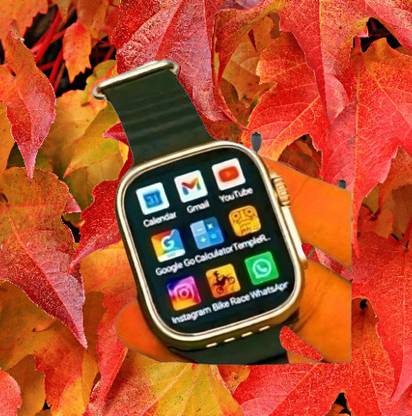 Vinayak T800 Series 8 Ultra Smart Watch HD 1.99 Inch Display% Smart Watch_019 Smartwatch