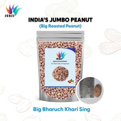 Jensi Roasted Peanuts Salted (Mungfali Namkeen Dana) Packets of 1 Healthy Gujarati Namkeen Snacks (KHARI SING) - 250gm