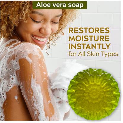 TERIHAR Healing Aloe Vera Soap with Antioxidant-rich Ingredients for Skin Repair