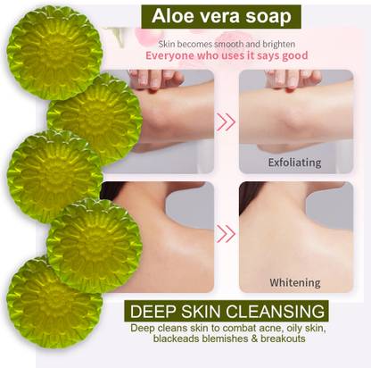 CHITAKSH Aloe Vera Therapy Bathing Soap (100GM) (PACK OF 5)