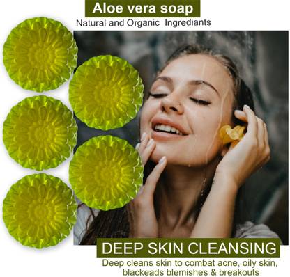 CHITAKSH Natural Aloe Vera Bathing Soap (100GM) (PACK OF 5)