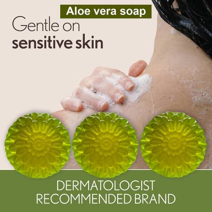 TERIHAR Aloe Vera and Vitamin E Soap (100GM) (PACK OF 3)