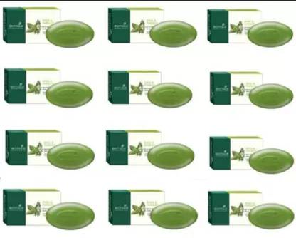 BIOTIQUE Basil & Parsley Bar|Ayurvedic & Organically Pure|100% Botanical|150G(Pack of 12)