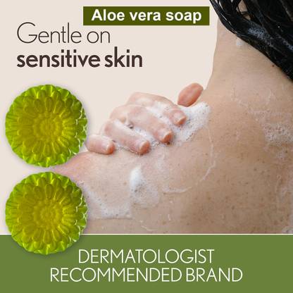 TERIHAR Aloe Vera & Sandalwood Soap (100GM) (PACK OF 2)