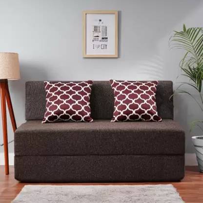 Expecting Smile For 2 Person 2 Seater Double Foam Fold Out Sofa Cum Bed