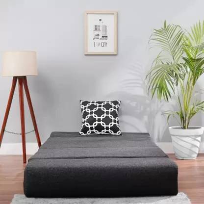Expecting Smile For 1 Person 1 Seater Single Foam Fold Out Sofa Cum Bed