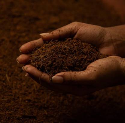 GrowTree Cocopeat Fine Quality Washed Pith for Garden Soil, Manure Soil, Manure