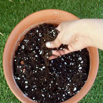 PRMAAN Garden Mix Organic Manure Fertilizer, Soil, Manure, Potting Mixture