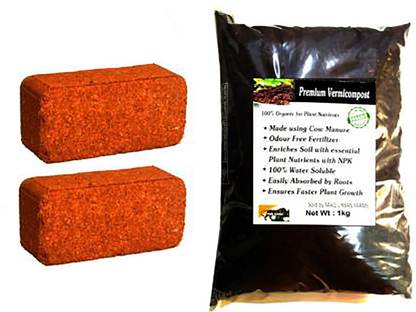 MASHKI WORM-COMPOST EARTHWORM VERMICOMPOST Manure